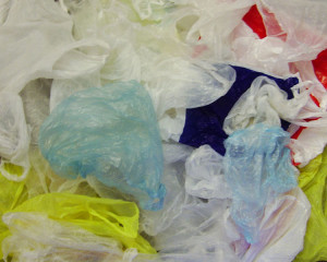 plastic bags